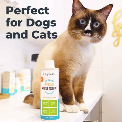 Best Oxyfresh Premium Pet Dental Water Additive Bad Breath Solution for Dogs & Cats
