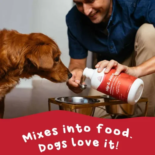 Online Paramount Pet Health Liquid Glucosamine for Dogs