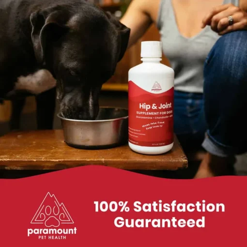 Online Paramount Pet Health Liquid Glucosamine for Dogs