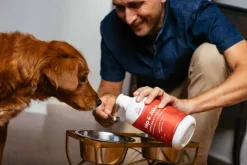 Online Paramount Pet Health Liquid Glucosamine for Dogs