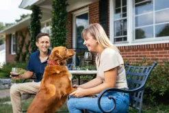 Online Paramount Pet Health Liquid Glucosamine for Dogs