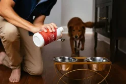 Online Paramount Pet Health Liquid Glucosamine for Dogs