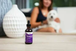 Clearance Paramount Pet Health Liquid Glucosamine for Small Dogs