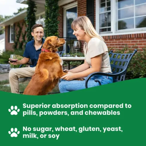 Hot Paramount Pet Health Vegetarian Glucosamine for Dogs