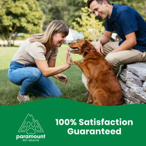 Hot Paramount Pet Health Vegetarian Glucosamine for Dogs