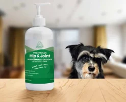 Hot Paramount Pet Health Vegetarian Glucosamine for Dogs