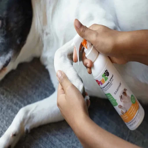 Outlet PawZ SaniPaw Daily Paw Spray