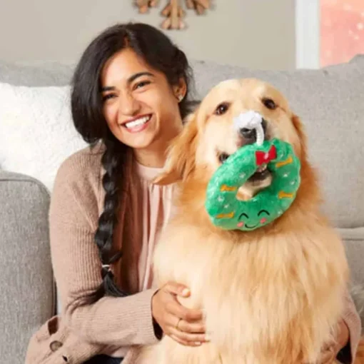 Fashion Pearhead Holiday Wreath Dog Toy
