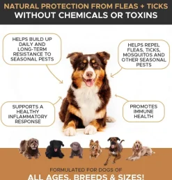Clearance Pet Honesty Flea + Tick Defense Soft Chews Bacon