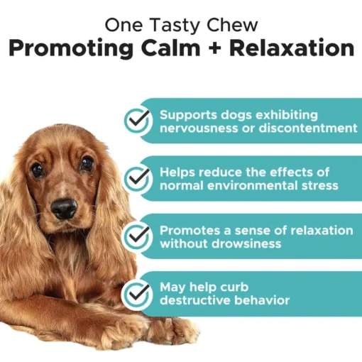 New Pet Honesty Hemp Calming Chicken Flavored Soft Chews Calming and Anxiety Supplement for Dogs