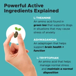New Pet Honesty Hemp Calming Chicken Flavored Soft Chews Calming and Anxiety Supplement for Dogs