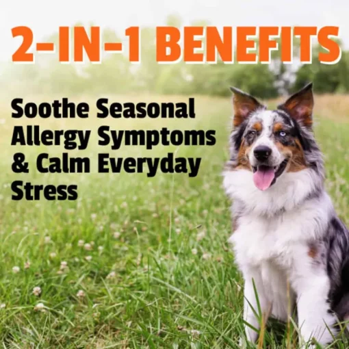 Fashion Pet Naturals Allergy + Calming Soft Chew Supplement for Dogs