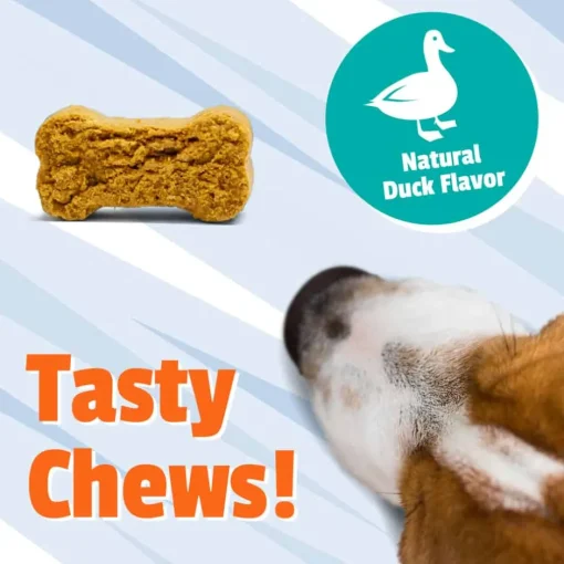 Fashion Pet Naturals Allergy + Calming Soft Chew Supplement for Dogs