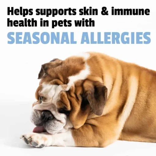 Fashion Pet Naturals Allergy + Calming Soft Chew Supplement for Dogs