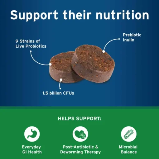 Outlet Lactoquil Pet Protect Digestive Health Soft Chew Supplement for Dogs