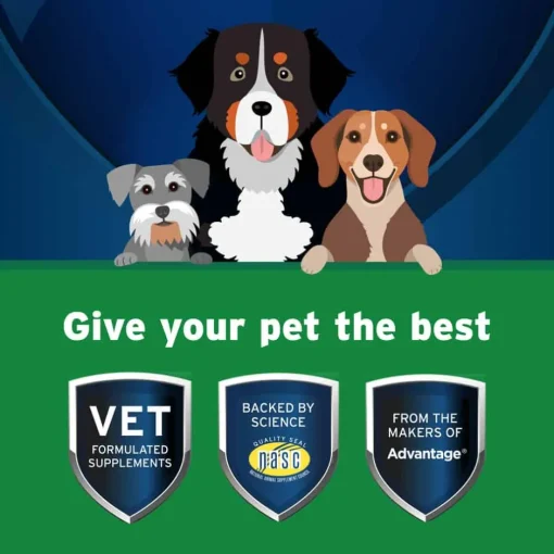Outlet Lactoquil Pet Protect Digestive Health Soft Chew Supplement for Dogs