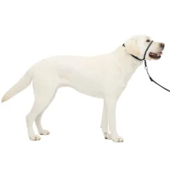 Discount PetSafe Gentle Leader Headcollar No-Pull Dog Collar