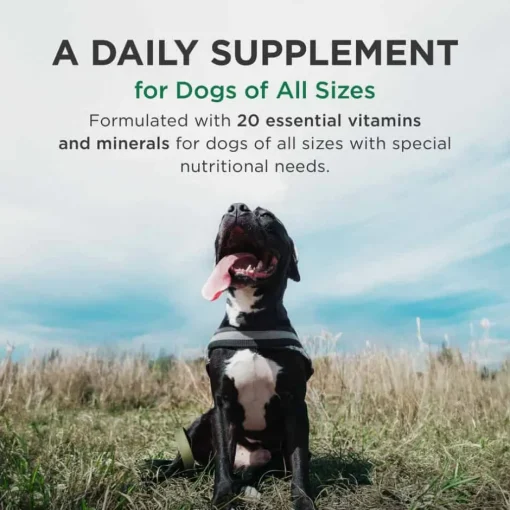 Online Pet-Tabs Plus