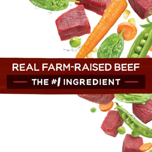 Clearance Purina Beneful Originals with Real Farm-Raised Beef Dry Dog Food
