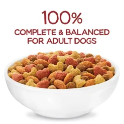 Clearance Purina Beneful Originals with Real Farm-Raised Beef Dry Dog Food