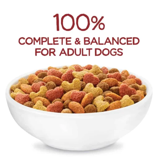 Clearance Purina Beneful Originals with Real Farm-Raised Beef Dry Dog Food