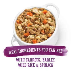 New Purina Beneful Prepared Meals Simmered Beef Entree Wet Dog Food