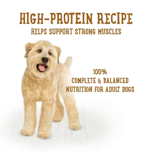 Discount Purina Beneful Prepared Meals Simmered Chicken Medley Wet Dog Food