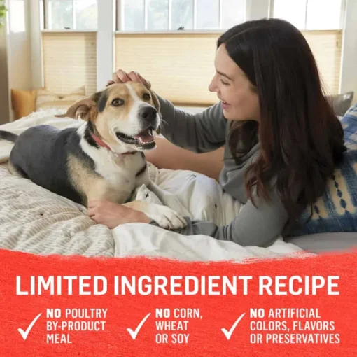 Sale Purina Beyond Natural Wet Dog Food Pate, Grain Free Beef, Potato & Green Bean Recipe Ground Entree