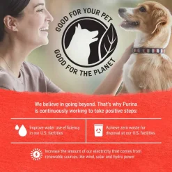 Sale Purina Beyond Natural Wet Dog Food Pate, Grain Free Beef, Potato & Green Bean Recipe Ground Entree