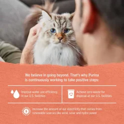 Hot Purina Beyond Wild Alaskan Salmon & Sweet Potato Recipe in Gravy Wet Cat Food