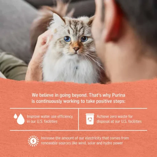 Hot Purina Beyond Wild Alaskan Salmon & Sweet Potato Recipe in Gravy Wet Cat Food