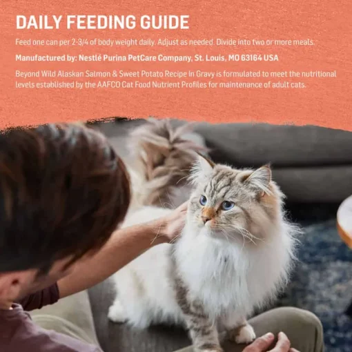 Hot Purina Beyond Wild Alaskan Salmon & Sweet Potato Recipe in Gravy Wet Cat Food