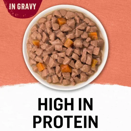Hot Purina Beyond Wild Alaskan Salmon & Sweet Potato Recipe in Gravy Wet Cat Food