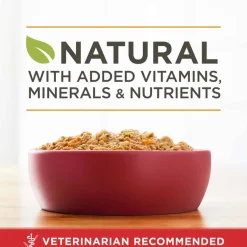 Outlet Purina ONE Classic Ground Chicken and Brown Rice Entree Wet Dog Food