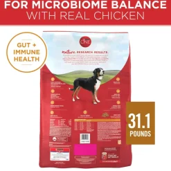 Online Purina ONE Natural SmartBlend Chicken & Rice Formula Dry Dog Food