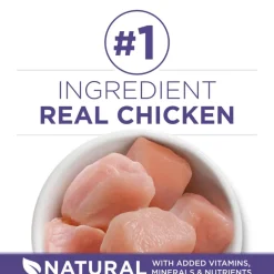 Best Purina ONE +Plus Hairball Formula Chicken Dry Cat Food