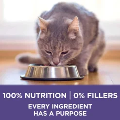 Best Purina ONE +Plus Hairball Formula Chicken Dry Cat Food