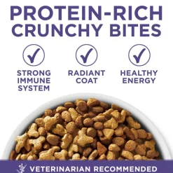 Best Purina ONE +Plus Hairball Formula Chicken Dry Cat Food