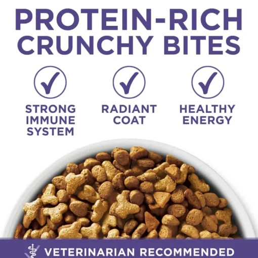 Best Purina ONE +Plus Hairball Formula Chicken Dry Cat Food
