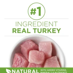 Hot Purina ONE +Plus Indoor Advantage & Weight Control Turkey Flavored Indoor Dry Cat Food