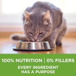 Hot Purina ONE +Plus Indoor Advantage & Weight Control Turkey Flavored Indoor Dry Cat Food