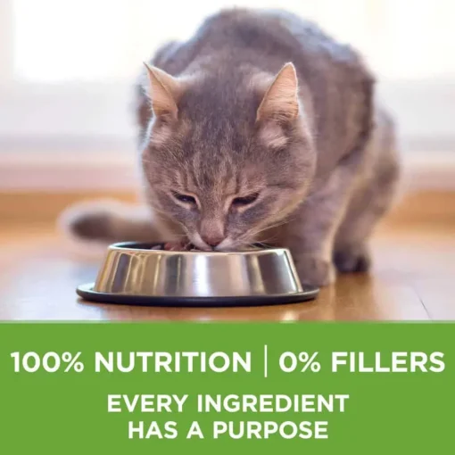 Hot Purina ONE +Plus Indoor Advantage & Weight Control Turkey Flavored Indoor Dry Cat Food