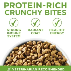 Hot Purina ONE +Plus Indoor Advantage & Weight Control Turkey Flavored Indoor Dry Cat Food