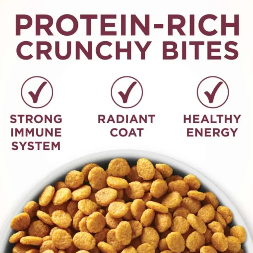 Sale Purina ONE +Plus Urinary Tract Health High Protein Chicken Dry Cat Food
