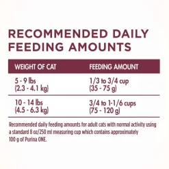 Sale Purina ONE +Plus Urinary Tract Health High Protein Chicken Dry Cat Food