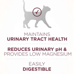 Sale Purina ONE +Plus Urinary Tract Health High Protein Chicken Dry Cat Food