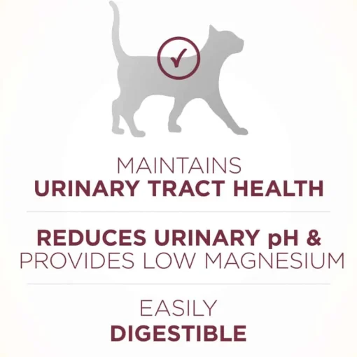 Sale Purina ONE +Plus Urinary Tract Health High Protein Chicken Dry Cat Food