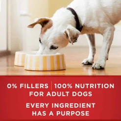 Discount Purina ONE SmartBlend Tender Cuts in Gravy Adult Canned Dog Food