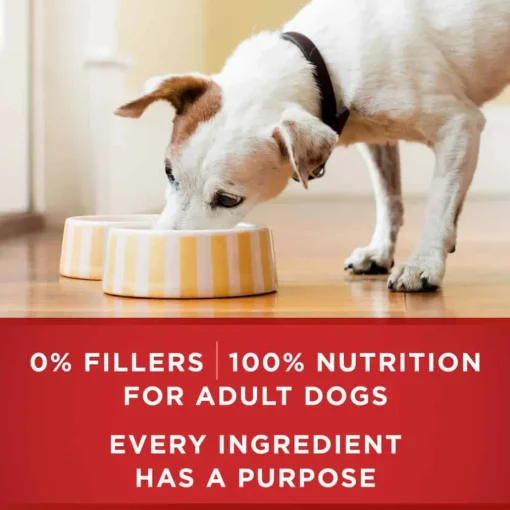 Discount Purina ONE SmartBlend Tender Cuts in Gravy Adult Canned Dog Food