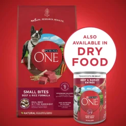Discount Purina ONE SmartBlend Tender Cuts in Gravy Adult Canned Dog Food